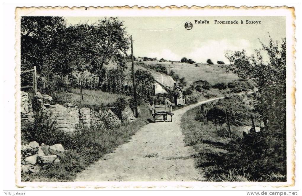 Postkaart / Carte Postale "Falaën - Promenade à Sosoye" - Onhaye