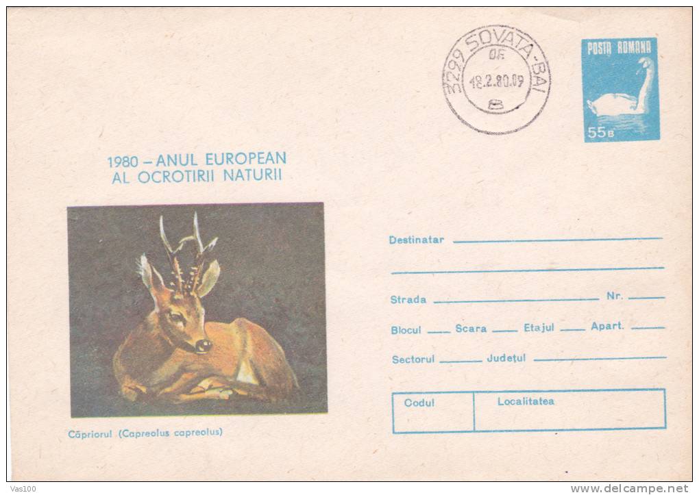 ROOE DEER, 1980, COVER STATIONERY, ROMANIA - Gibier