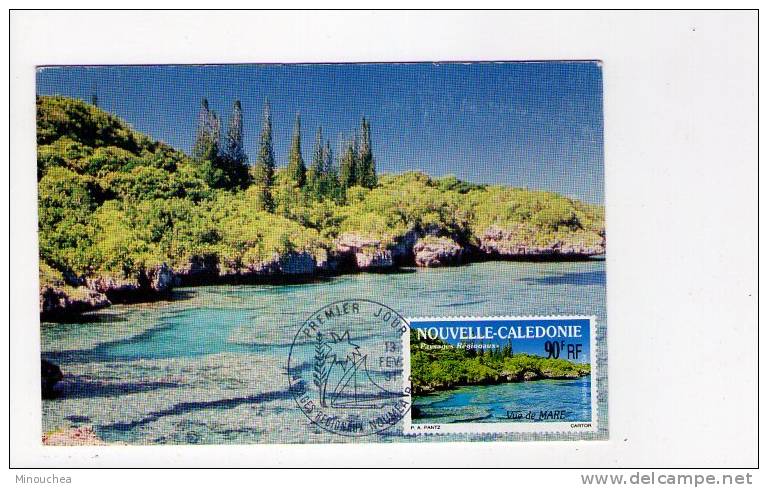 Carte Maximum - Nouvelle Calédonie - Paysages Des Régionaux - Obl Du 13/02/91 (1er Jour) - Gebruikt