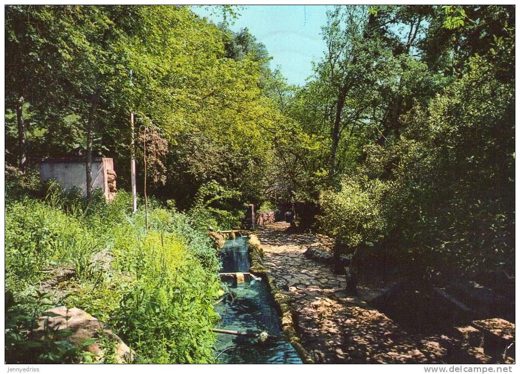 SANTU LUSSURGIU , San  Leonardo  De Siete  Fuentes - Oristano