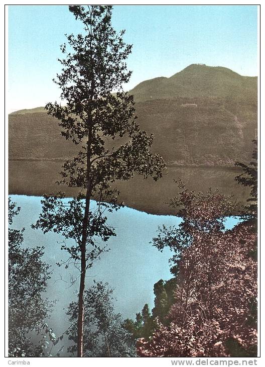 Lago Albano Nuova - Tarjetas Panorámicas