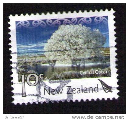 NOUVELLE ZELANDE Oblitéré Used Stamp Paysages Central Otago 2007 WNS NZ032.07 - Gebraucht