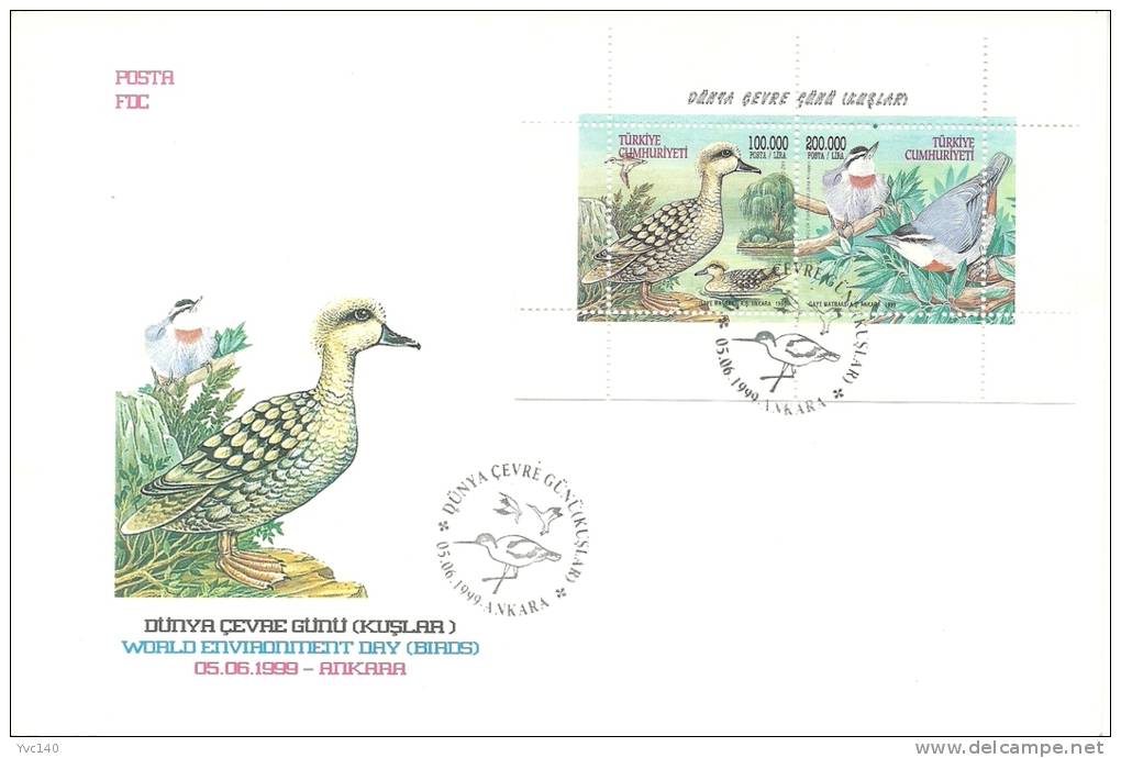 Turkey; FDC 1999 World Environment Day - Birds (2 Covers) - FDC