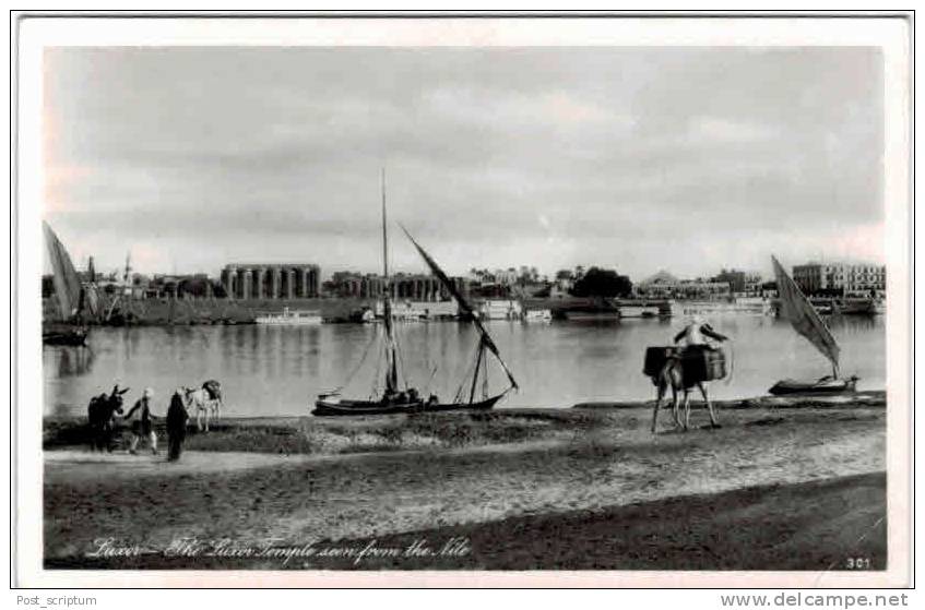 Afrique - Egypte - The Luxor Temple Seen From The Nile - Carte Glacée - Luxor