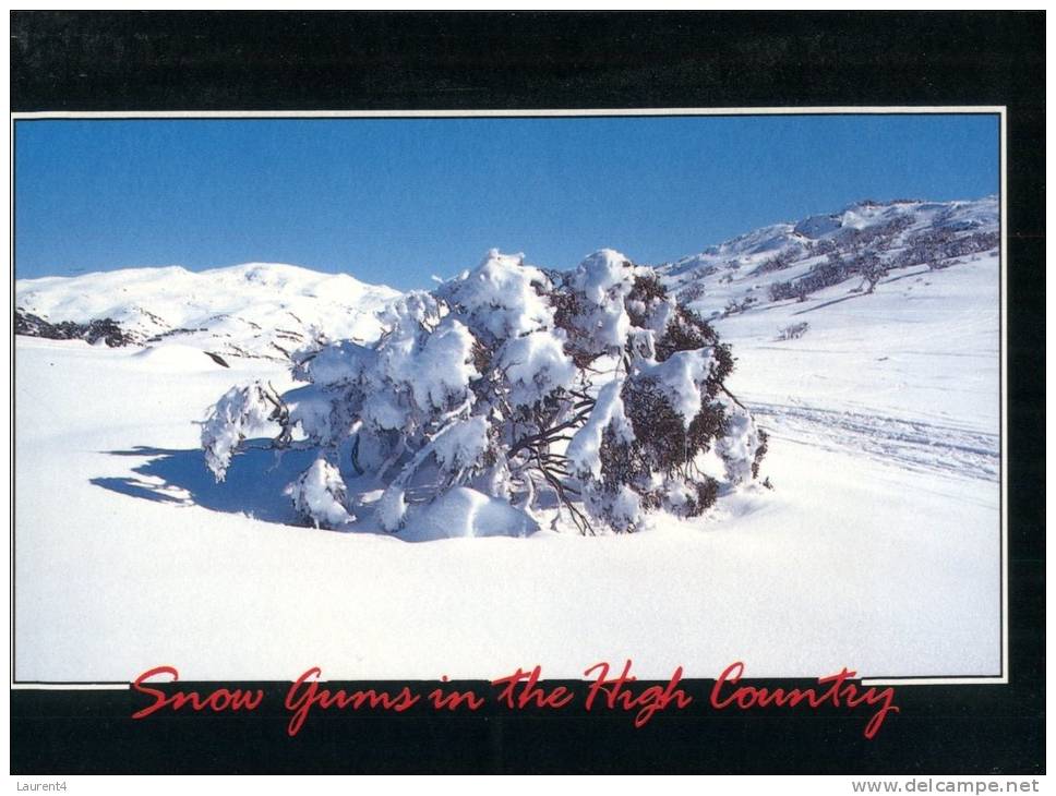 (234) Australia - High Country In Snow - Outback