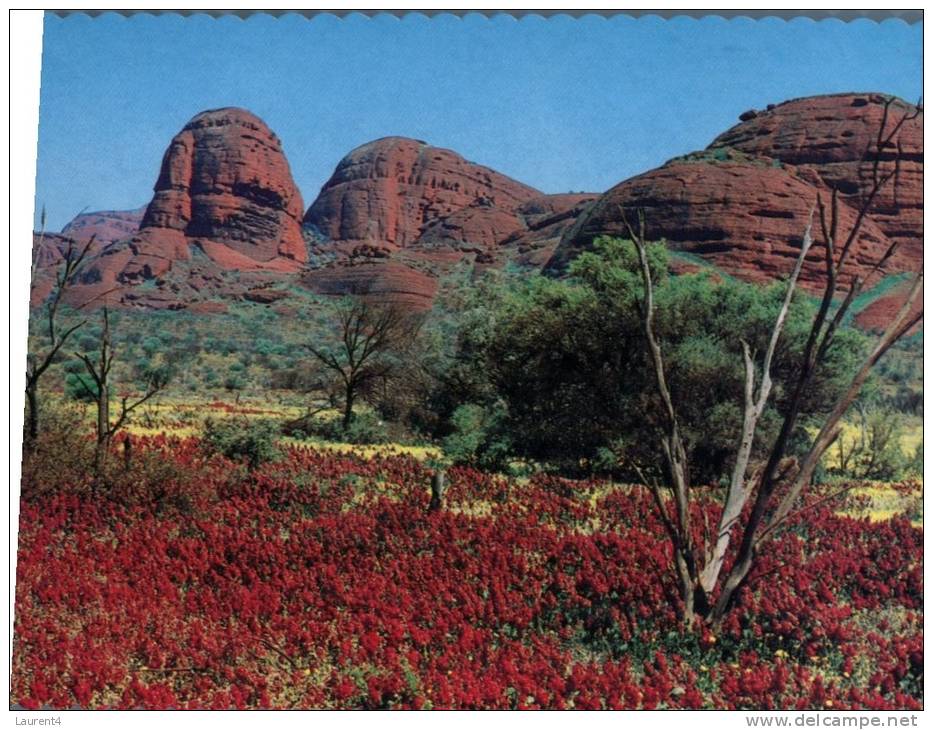 (234) Australia - NT - Mt Olga Dome Kuta Malu - Uluru & The Olgas