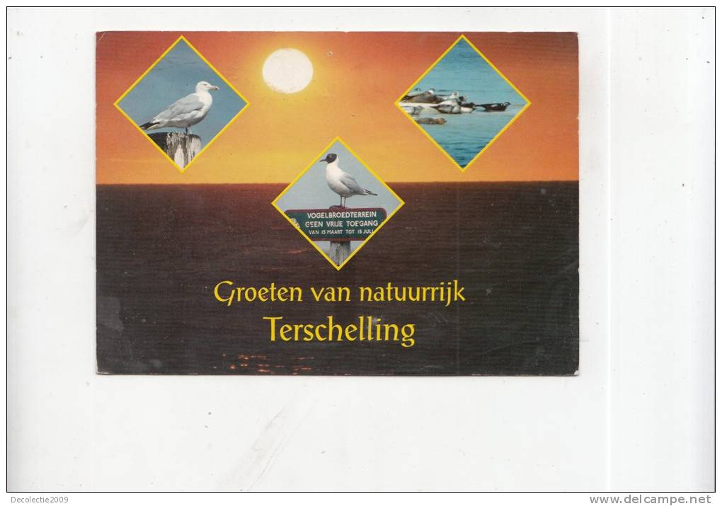BT4739 Terschelling  Birds Oiseaux   2 Scans - Terschelling