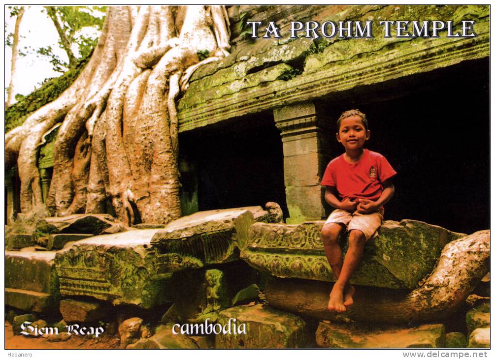 CAMBODIA - TA PROHM TEMPLE - ANGKOR THOM - SIEM REAP - PERFECT MINT QUALITY - Cambodia