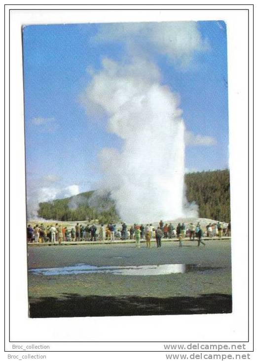 Old Faithful Geyser, Yellowstone National Park, 1981, Hamilton Stores N° 1001 - Yellowstone