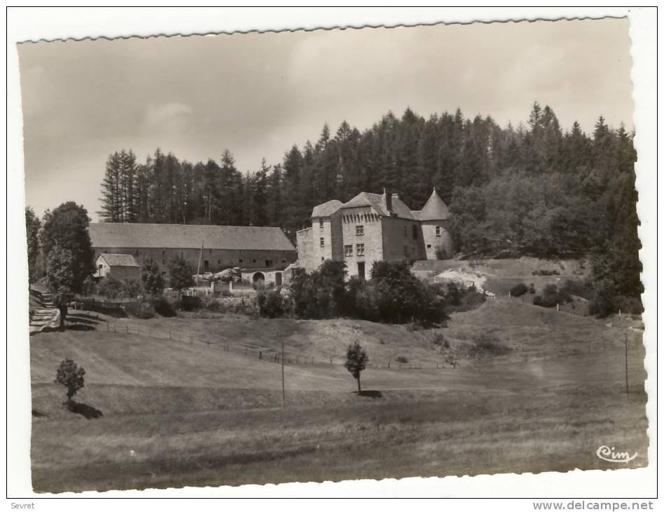 ST CHELY D'APCHER. - Château De Billières Et Ses Bois. CPM Dentelée - Saint Chely D'Apcher