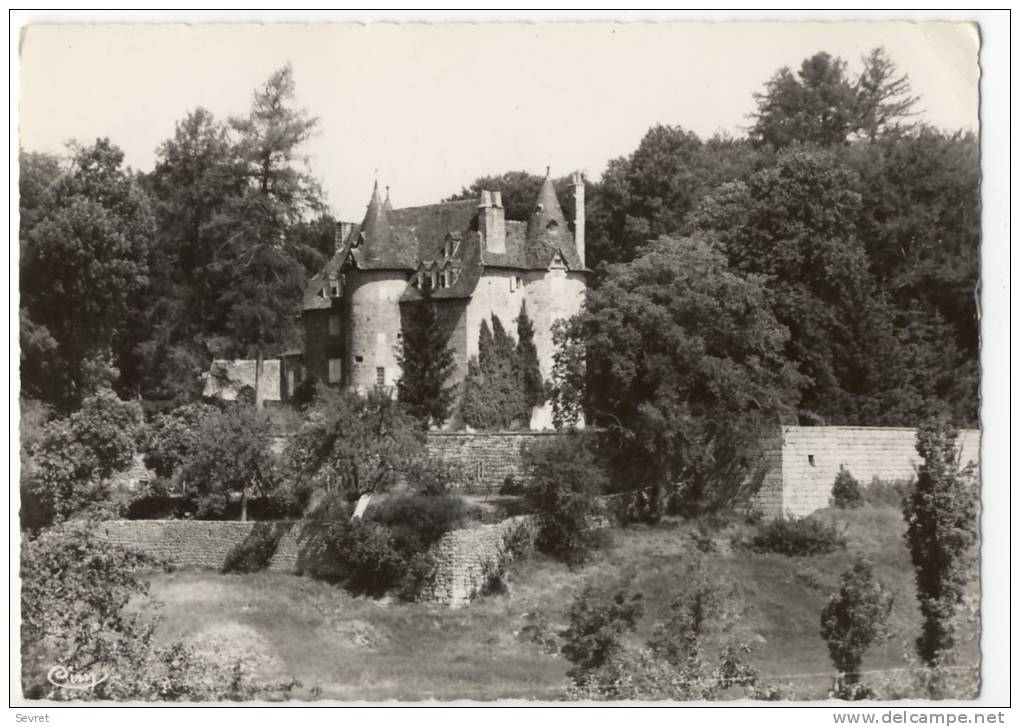 FOURNELS. - Le Château. CPM Dentelée - Sonstige & Ohne Zuordnung