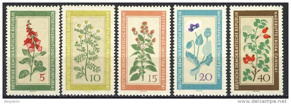 1960 German Democratic Republic Complete MNH (**) Set Of 5 Stamps " Healing Plants  " Michel 757-61 - Unused Stamps