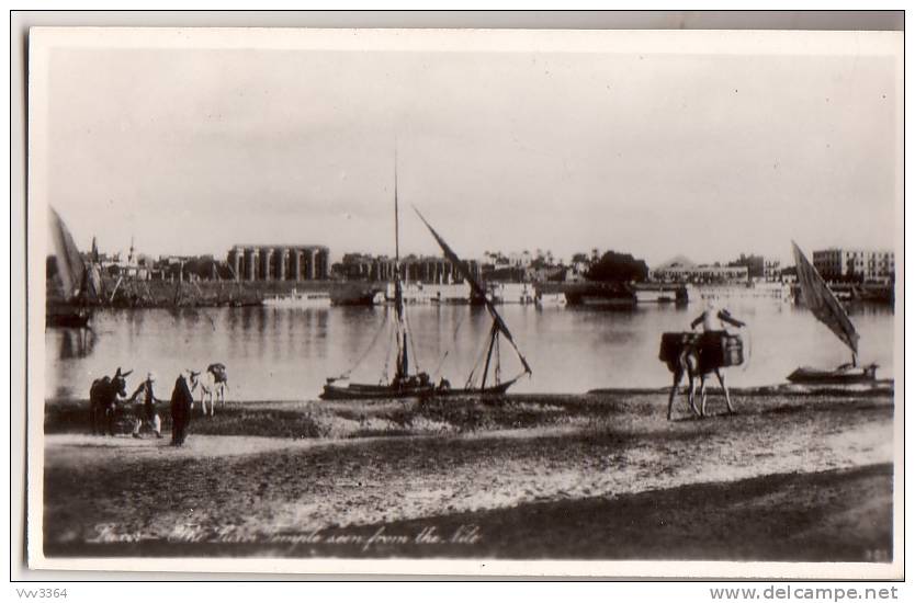 LUXOR: The Luxor Temple Seen From The Nil - Louxor