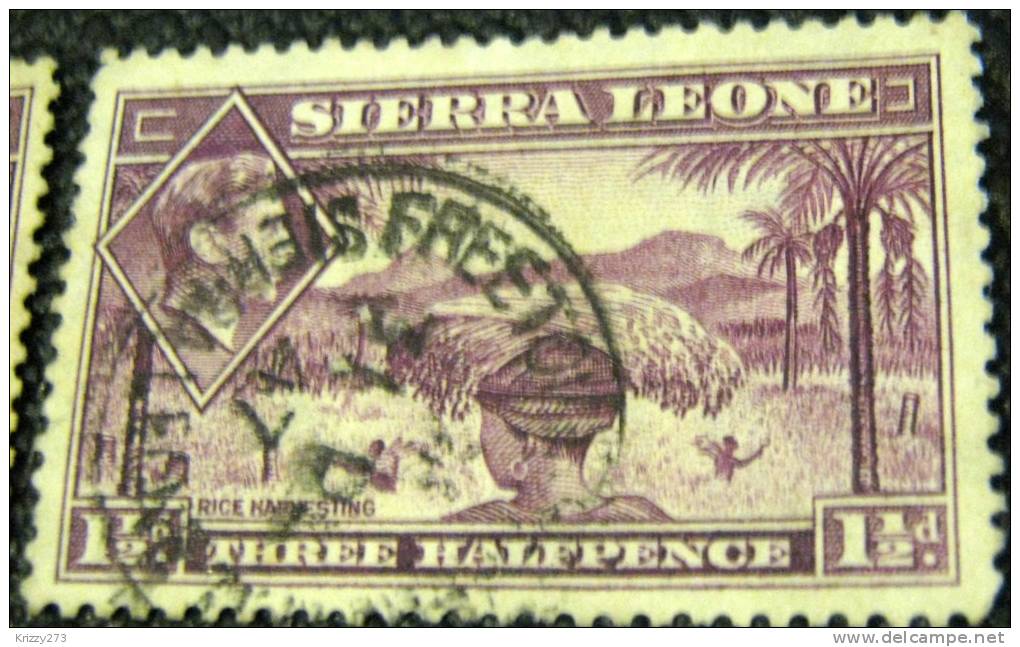 Sierra Leone 1938 King George VI Rice Harvesting 1.5d - Used - Sierra Leone (...-1960)