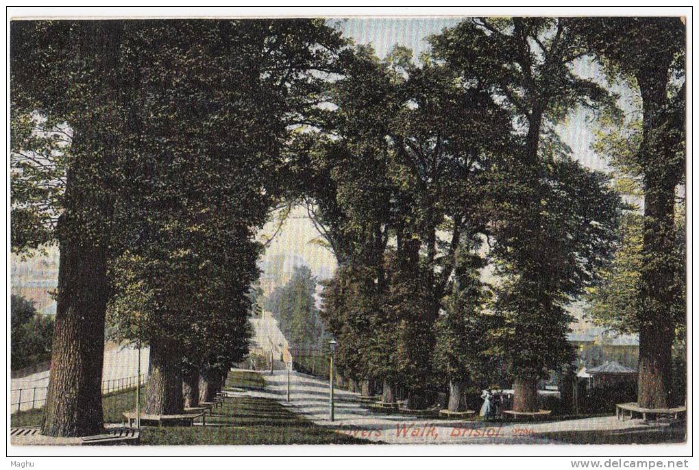 Lovers Walk, Bristol. Tree / Trees, M.J.R. Postcard - Bristol