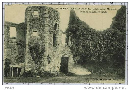 Ruines D´un Monastere à Champtoceaux, Ref955 - Champtoceaux