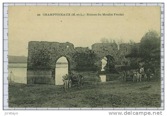 Ruines Du Moulin Féodal à Champtoceaux, Ref983 - Champtoceaux