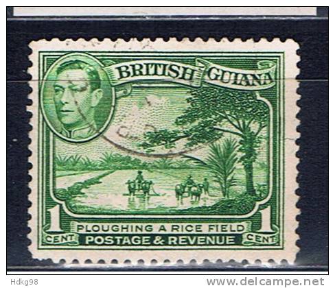 GUY+ Britisch Guyana 1938 Mi 176 - Guyana Britannica (...-1966)