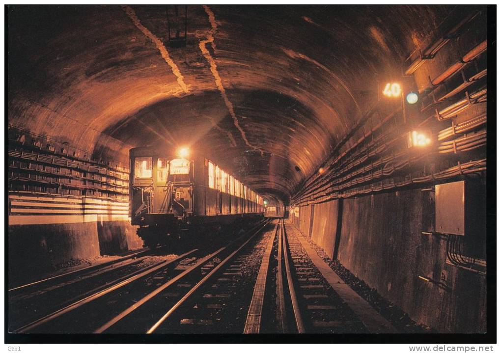 Ambiance Metro --- Rame Sprague Sur La Ligne N° 5 , Train Special COPEF --- 1991 - Métro