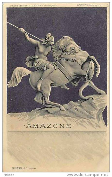 Themes Div-ref E559  - Illustrateur - Carte Postale Fond Doré- Amazone -carte Bon Etat   - - 1900-1949