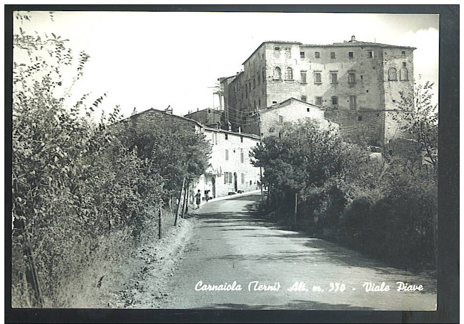 CARNAIOLA ( Terni) Viale Piave Cartolina  Viaggiata 1963 Francobollo Asportato - Altri & Non Classificati