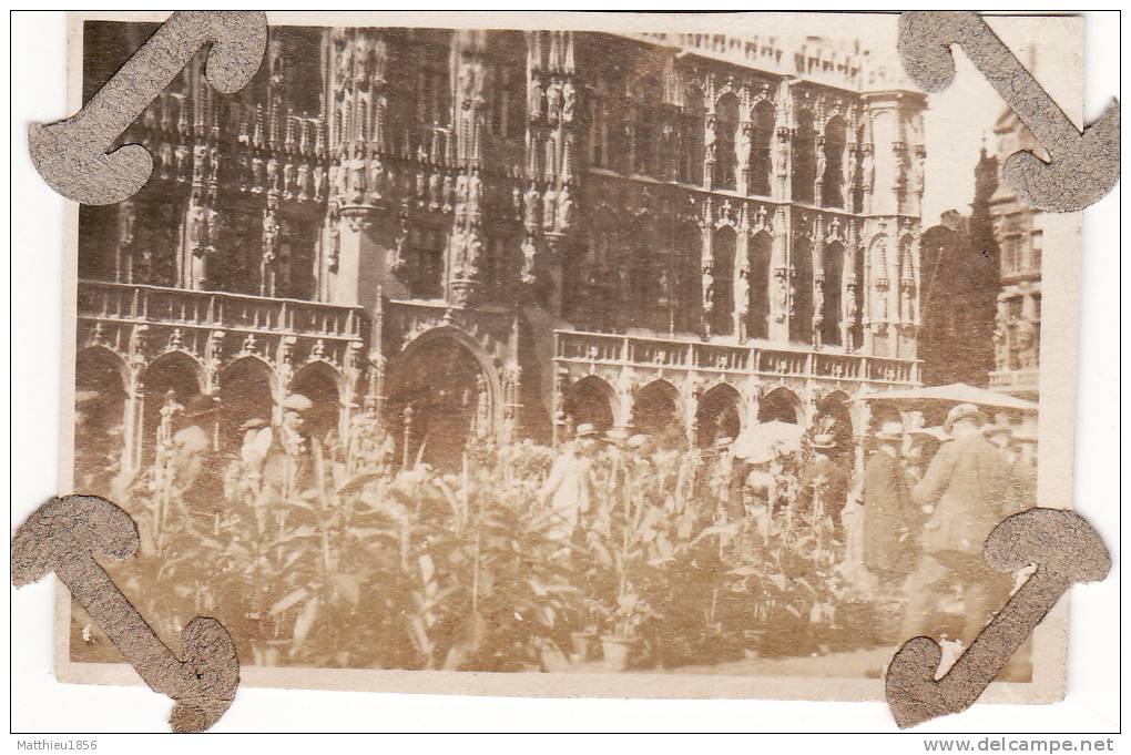 Photo Originale Aout 1919 BRUXELLES (Brussel) - Un Marché Aux Plantes Devant L'hôtel De Ville? (A26, Ww1, Wk1) - Transport (rail) - Stations