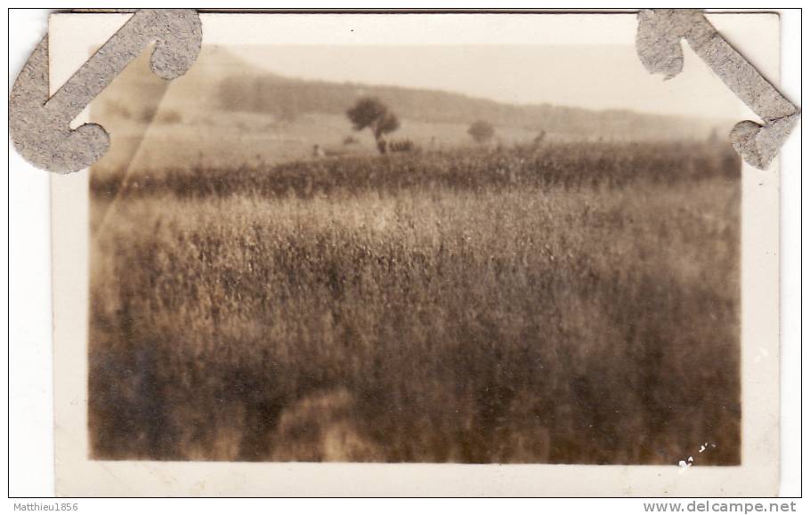 Photo Originale Aout 1919 WATERLOO - Une Vue (A26, Ww1, Wk1) - Waterloo