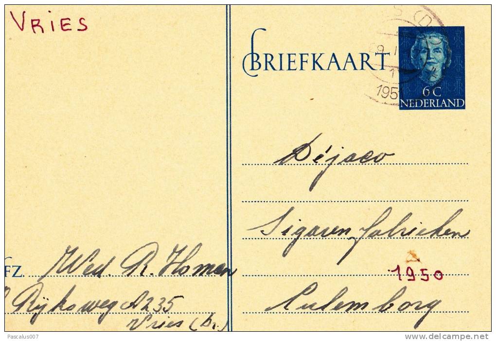 B03 - Carte Postale Hollande De 1950 - Fabrique De  Cigares Dejaco - Vries Vers Culenborg - Postal Stationery