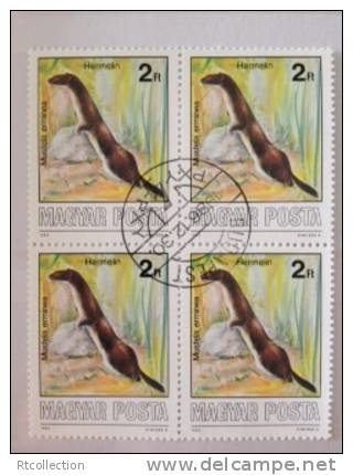 Magyar Posta HUNGARY 1986 - Block Of 4 Protected Animals Animal Nature Hermelin Mustela Erminea Stamps Michel 3862 CTO - Collections