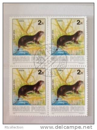 Magyar Posta HUNGARY 1986 - Block Of 4 Protected Animals Animal Nature Vidra Lutra Fauna Stamps Michel 3863 CTO - Collections