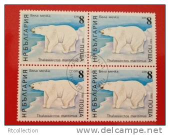 Bulgaria 1988 Wild Animals Animal Nature Bear Bears Mammal Mammals (2) Michel 3704 Scott 3560 CTO - Bears