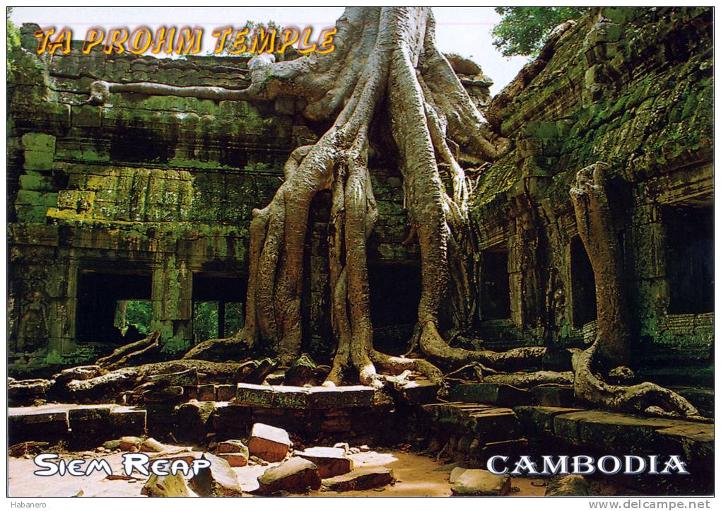 CAMBODIA - TA PROHM TEMPLE - ANGKOR THOM - SIEM REAP - PERFECT MINT QUALITY - Cambodia