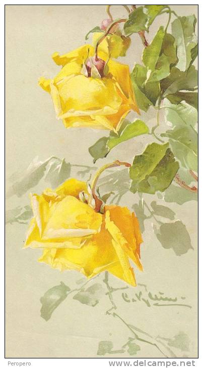 IMAGES Litografia BLUMEN ,DIMEN.16 X 39 Cm,CATHARINE KLEIN SERIE 251.No.8.ROSES MARECHAL NIEL,GENEVE,CLEMENT,TOUR.&C.ED. - Blumen