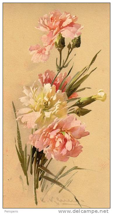 IMAGES Litografia BLUMEN ,DIMEN.16 X 32 Cm,CATHARINE KLEIN SERIE 278.No.6.CEILLETS,GENEVE,CLEMENT,TOUR.&C.ED. - Fiori