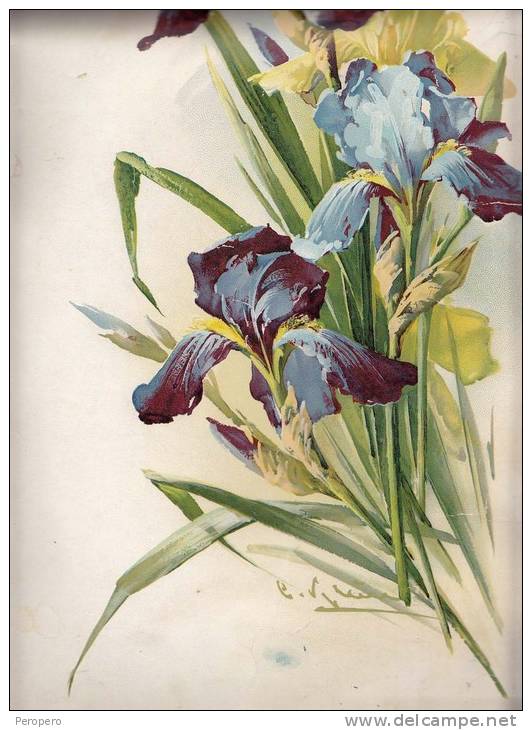 IMAGES Litografia BLUMEN  DIMEN.29,8  X 44,8 Cm,CATHARINE KLEIN - Fleurs