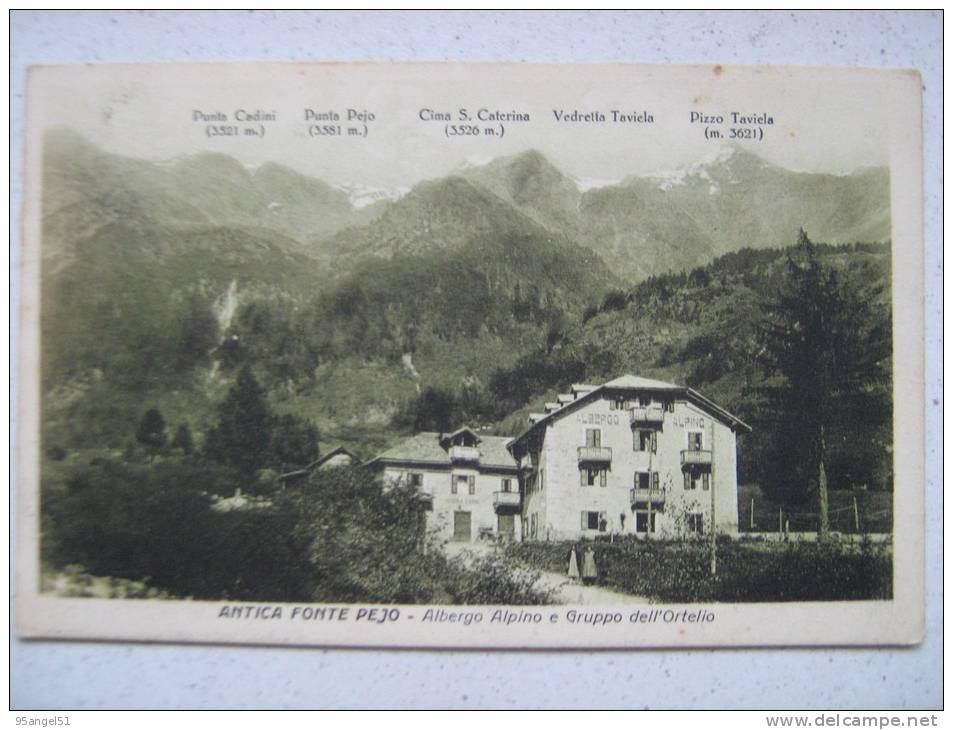 ANTICA FONTE PEJO TRENTO - ALBERGO ALPINO E GRIPPO DELL´ORTELIO - 1929 - Trento