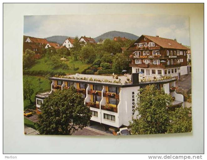 Baiersbronn - Hotel Cafe Berghof   D102893 - Baiersbronn