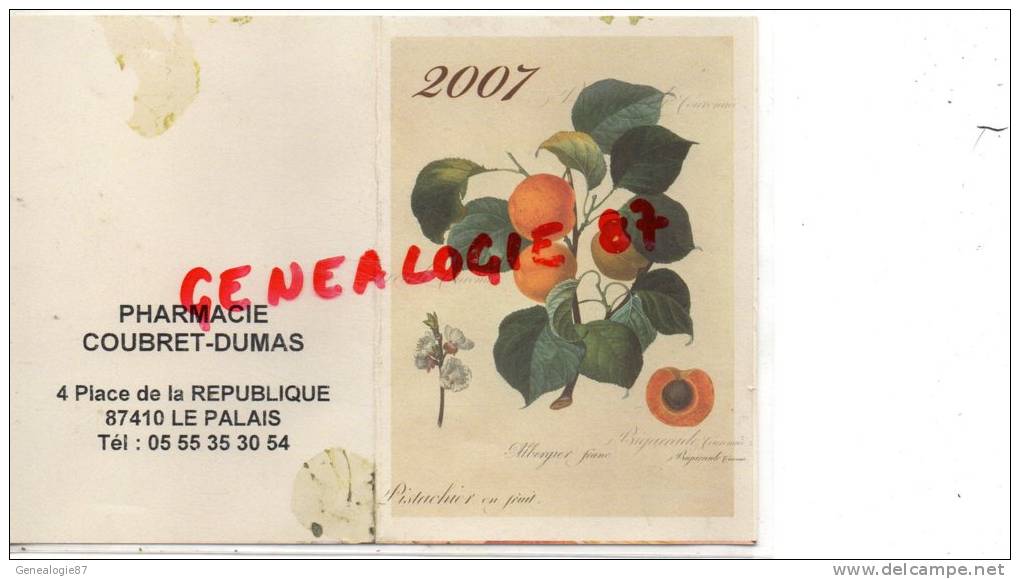 87 - LE PALAIS SUR VIENNE - CALENDRIER PUB-  PHARMACIE COUBRET DUMAS- 4 PLACE DE LA REPUBLIQUE -2007 - Other & Unclassified