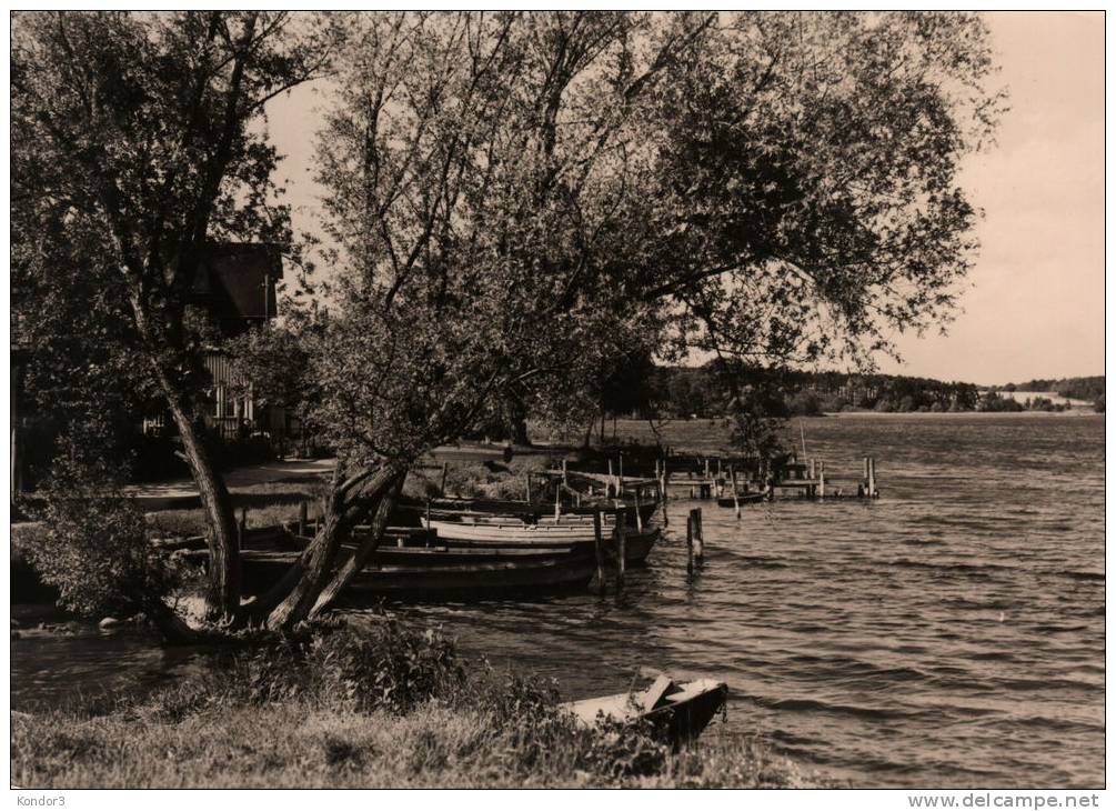 Lychen. Uferpromenade Am Oberpfuhlsee - Lychen