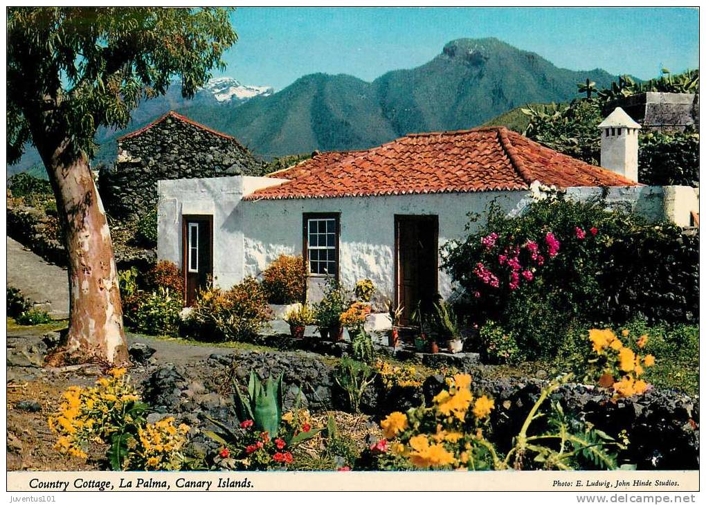 CPSM Country Cottage-La Palma-Canary Islands   L1254 - La Palma