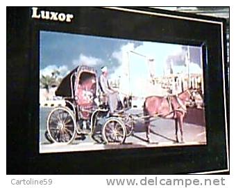 EGITTO  EGYPT  LUXOR  CAVALLO HORS CARROZZA VB2003   EE14204 - Luxor