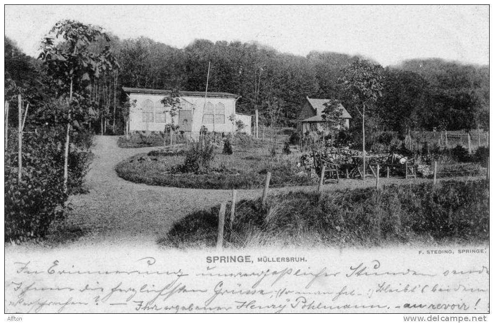 Springe Mullersruh 1904 Postcard - Springe