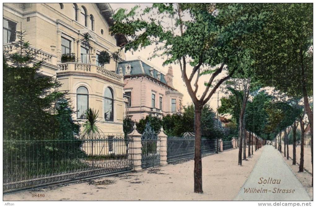 Soltau Wilhelm Strasse 1905 Postcard - Soltau