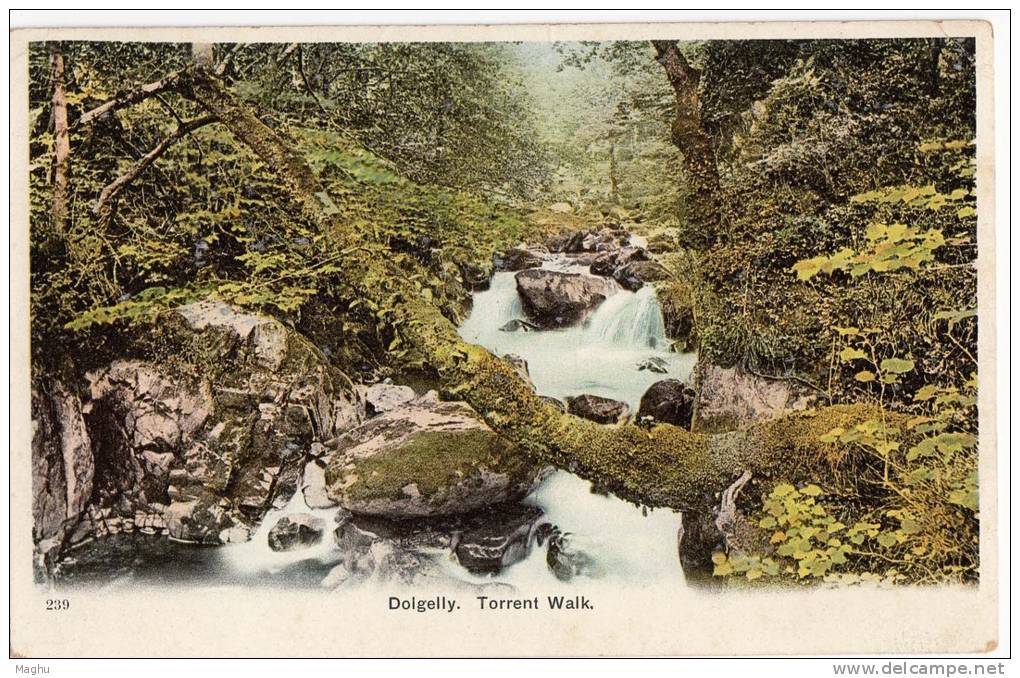 Dolgelly, Torrent Walk, Postcard - Merionethshire