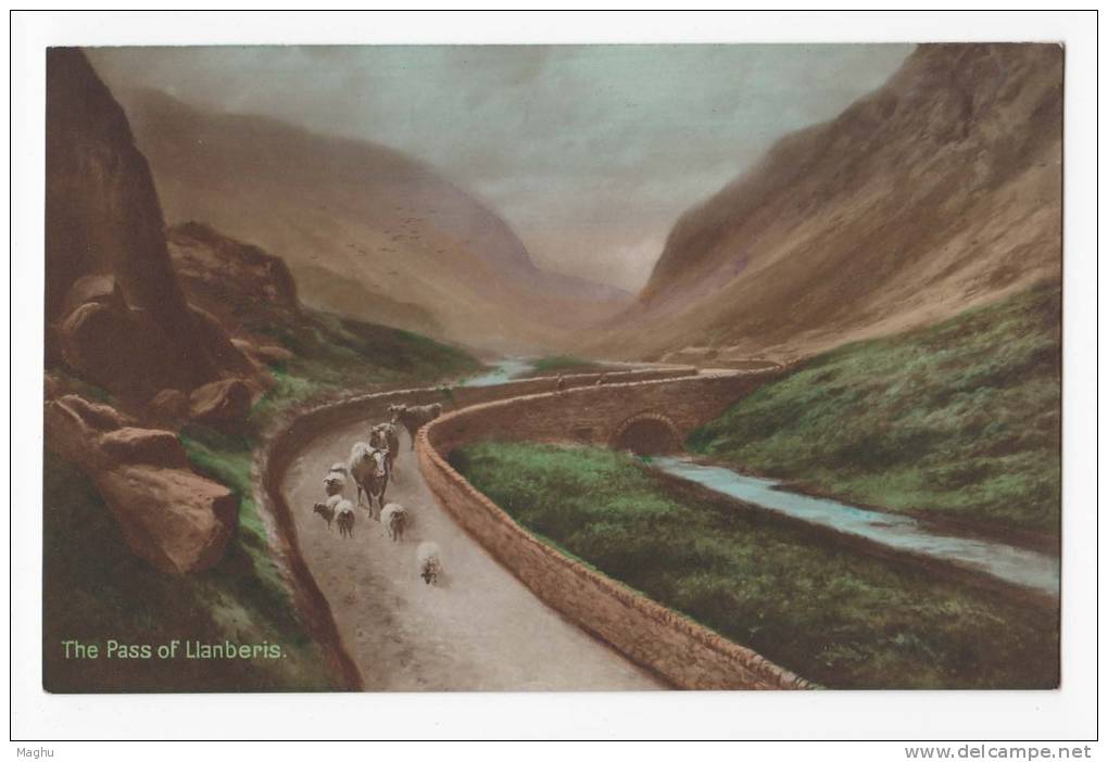 The Pass Of Llanberis, Bromide Series, Dennis Hand Coloured, Postcard - Caernarvonshire