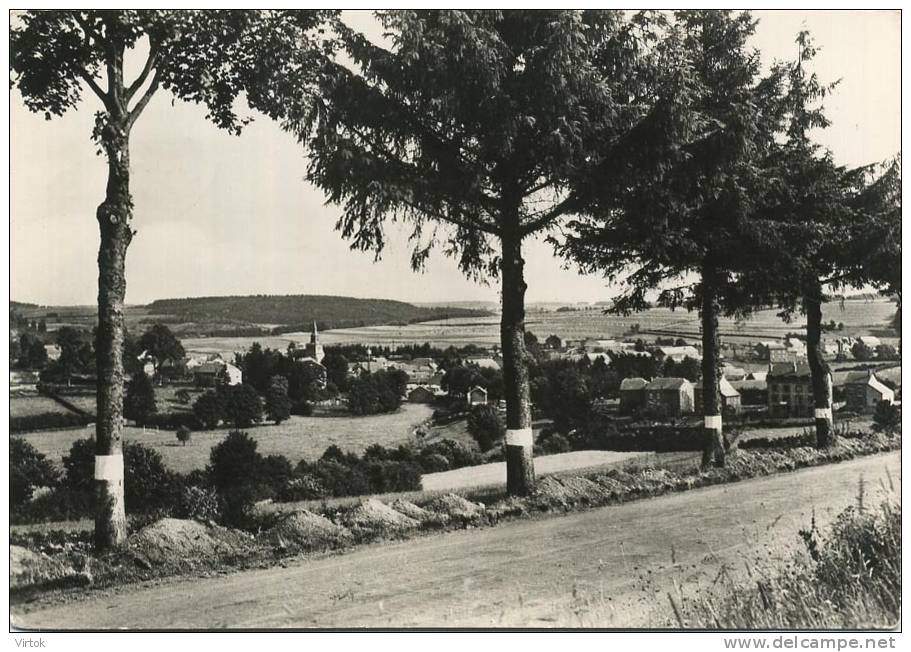 Gedinne :  Panorama Du Village : Vu De La Route Fumay  :  Ecrit       ( Grand Format ) - Gedinne