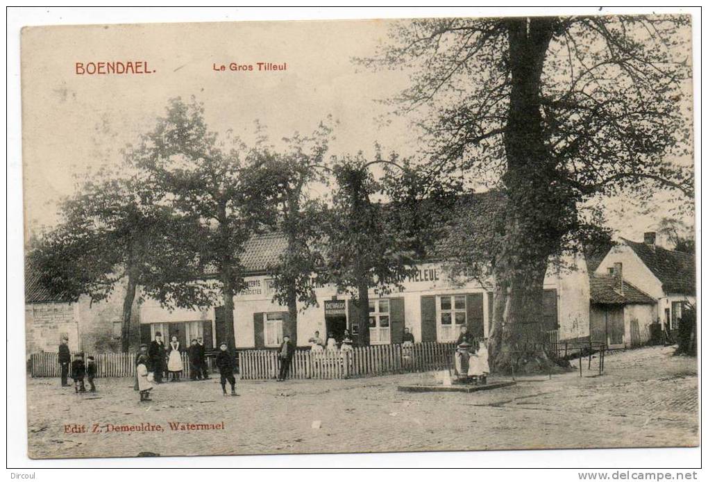 23938  -     Boendael  - Ixelles  Le  Gros  Tilleul - Ixelles - Elsene