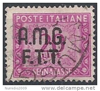 1947-49 TRIESTE A USATO SEGNATASSE 2 RIGHE 20 LIRE - RR11341 - Strafport