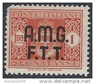 1947 TRIESTE A SEGNATASSE 2 RIGHE 1 LIRA MH * - RR11341 - Taxe