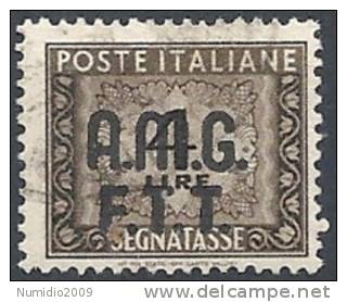 1947-49 TRIESTE A USATO SEGNATASSE 2 RIGHE 4 LIRE - RR11342 - Segnatasse